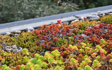 the cost of Millmoor green roof installation