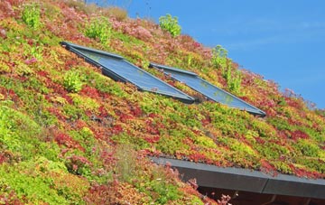 Millmoor living roof systems
